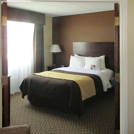 Comfort Inn & Suites Montrose Hill Ngoại thất bức ảnh