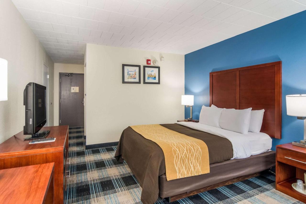 Comfort Inn & Suites Montrose Hill Ngoại thất bức ảnh