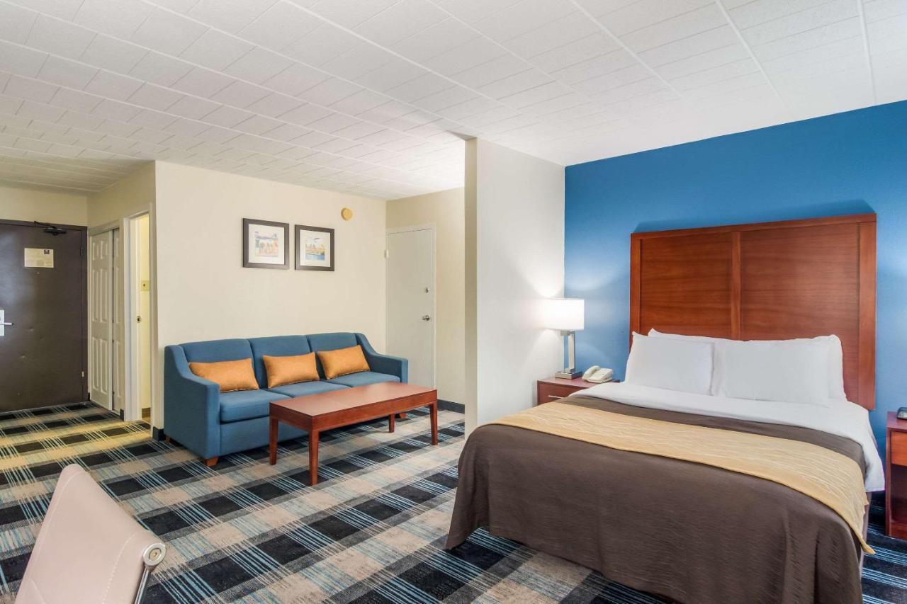 Comfort Inn & Suites Montrose Hill Ngoại thất bức ảnh