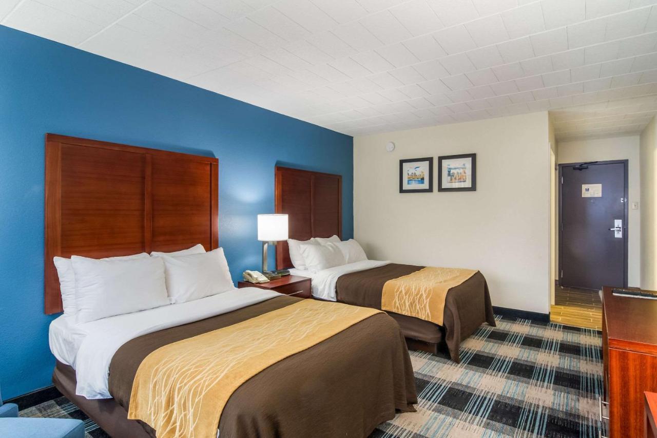 Comfort Inn & Suites Montrose Hill Ngoại thất bức ảnh