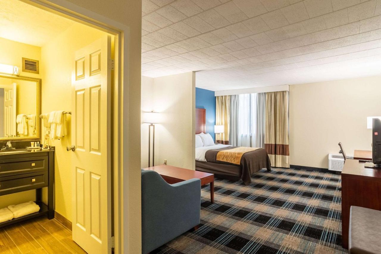 Comfort Inn & Suites Montrose Hill Ngoại thất bức ảnh